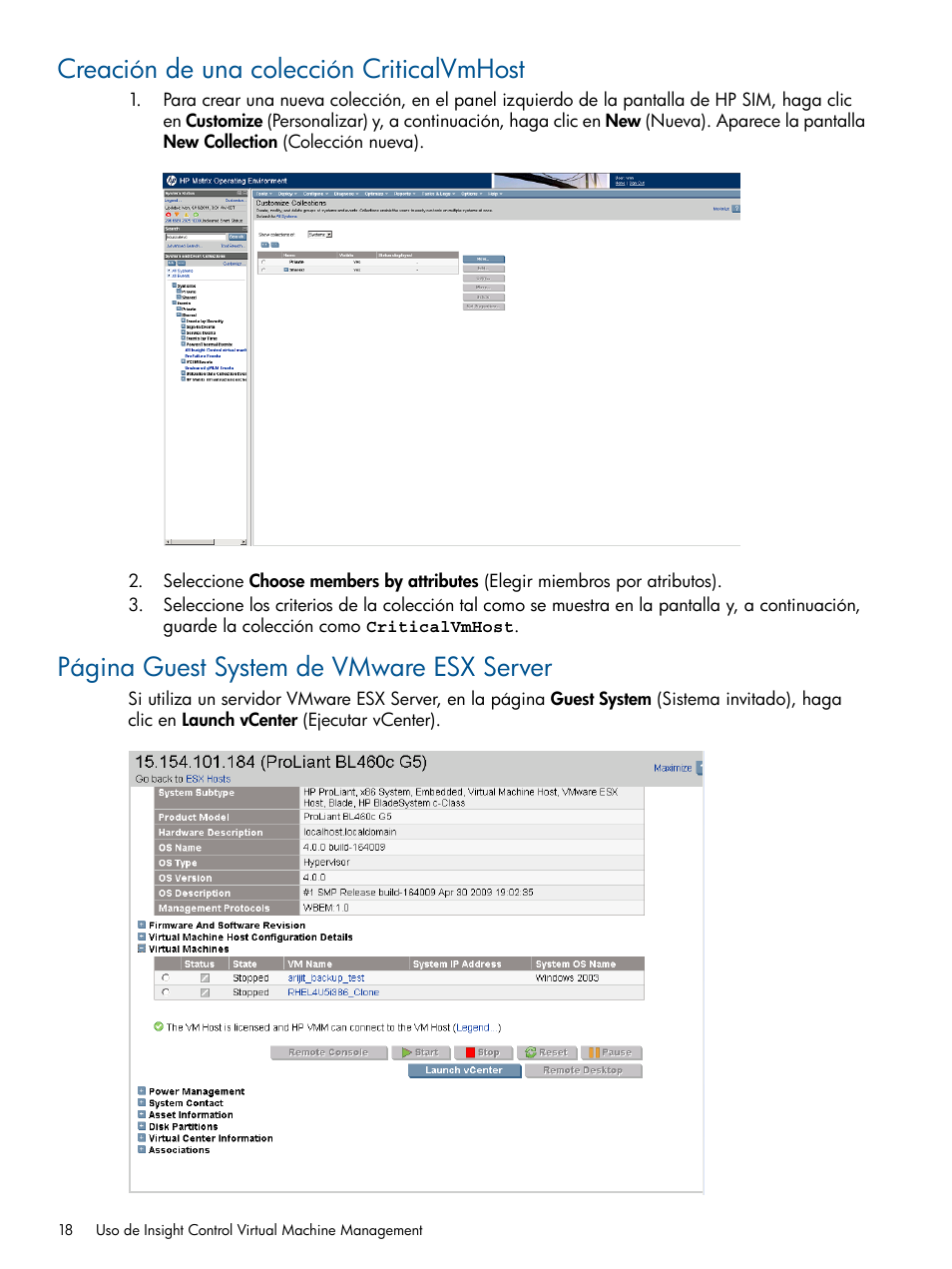 Creación de una colección criticalvmhost, Página guest system de vmware esx server | HP Insight Control User Manual | Page 18 / 60