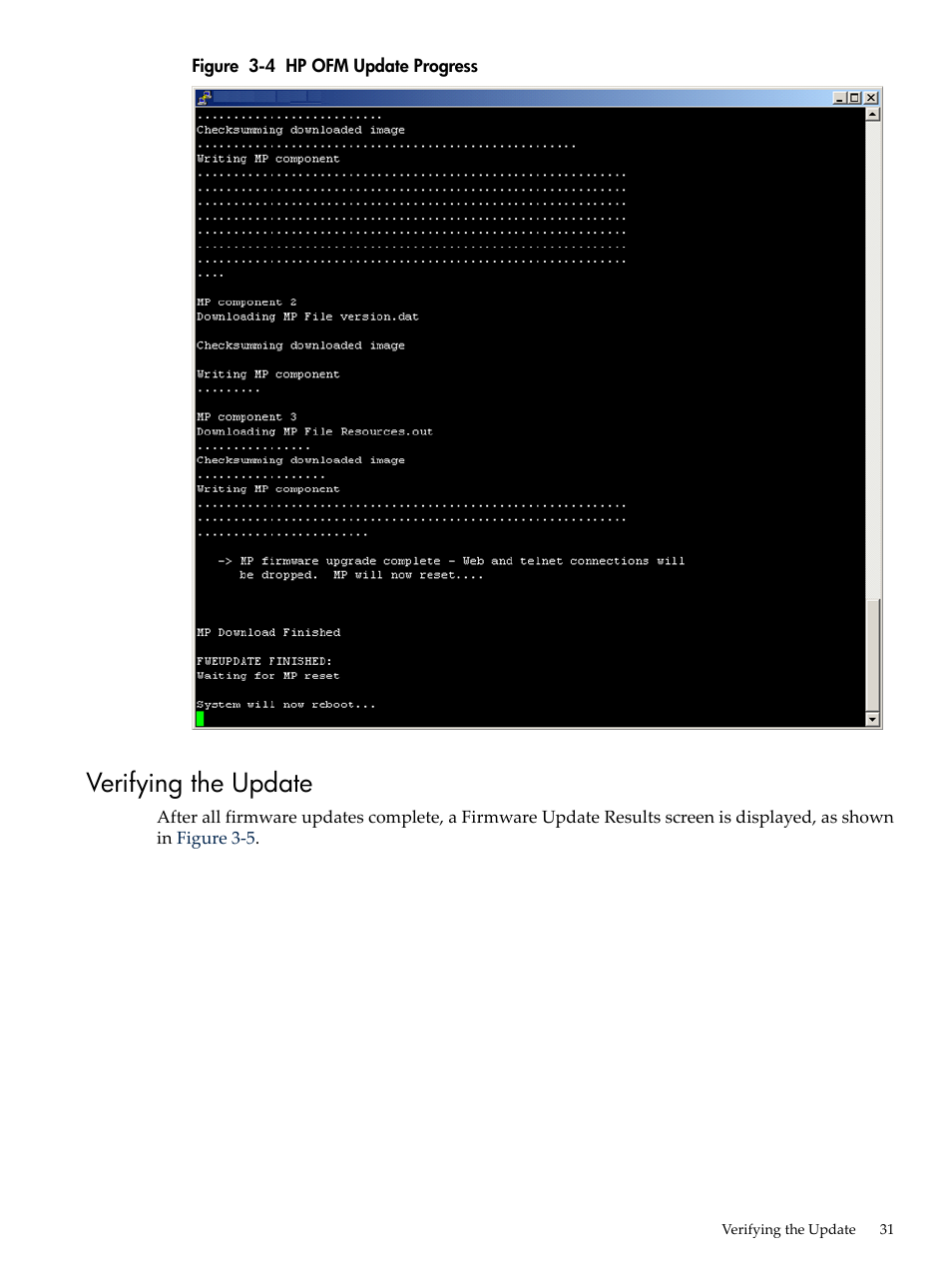 Verifying the update, Hp ofm update progress | HP Integrity rx4640 Server User Manual | Page 31 / 36