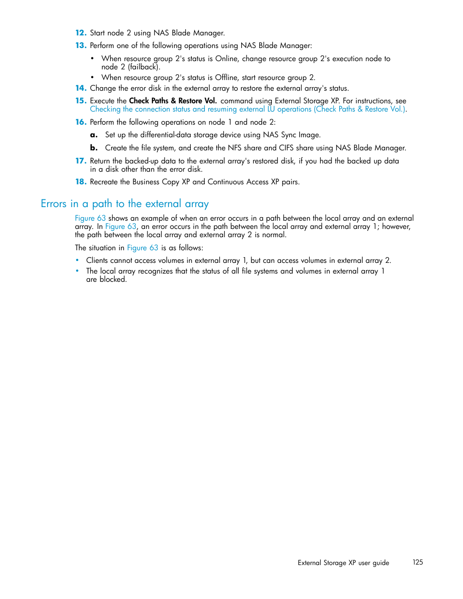 Errors in a path to the external array | HP XP Data Shredder Software User Manual | Page 125 / 176