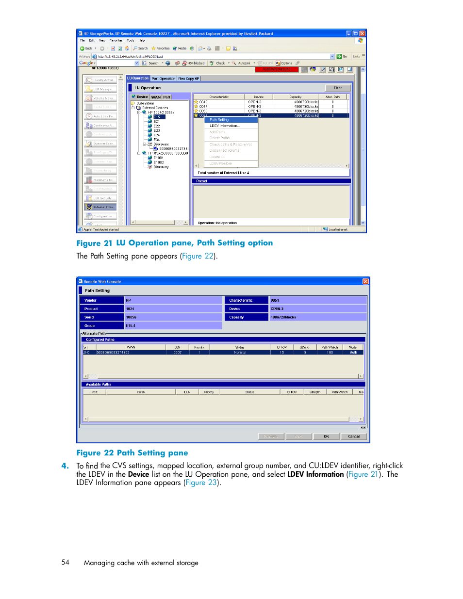 Lu operation pane, path setting option, Path setting pane, Figure 21 | HP XP Data Shredder Software User Manual | Page 54 / 176