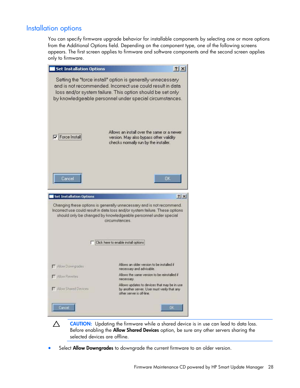 Installation options | HP ProLiant BL685c G5 Server Blade User Manual | Page 28 / 87