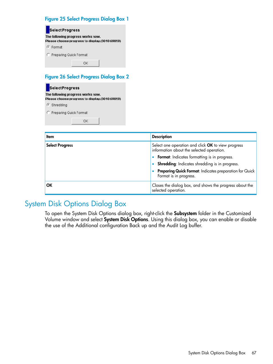System disk options dialog box | HP XP Data Shredder Software User Manual | Page 67 / 101