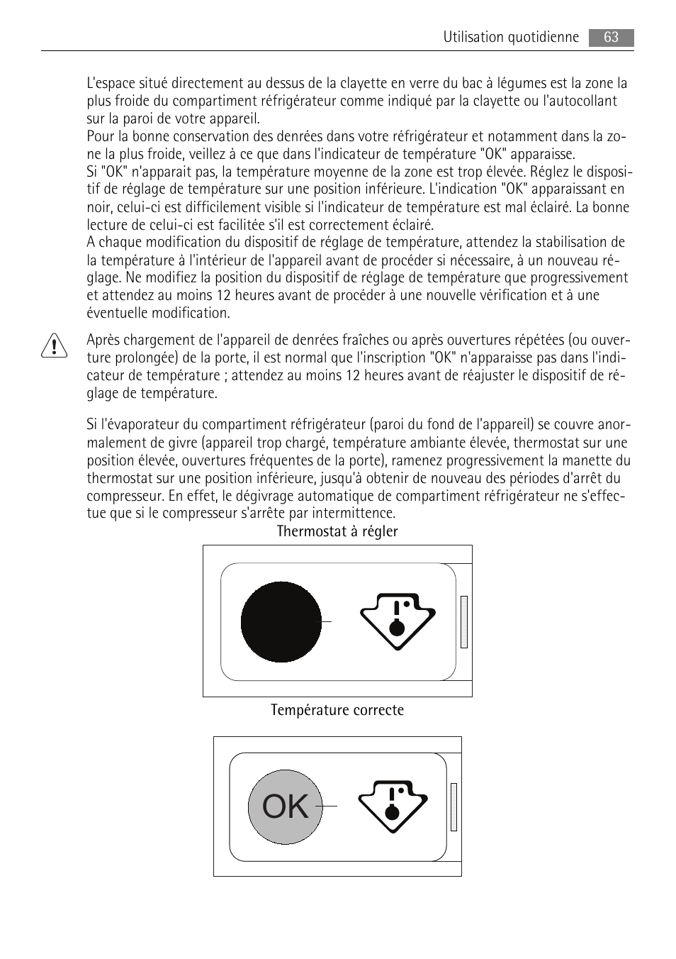 AEG SKS81000F0 User Manual | Page 63 / 92