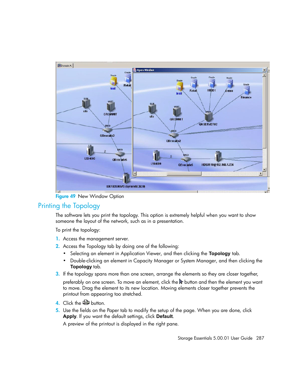 Printing the topology, 49 new window option | HP Storage Essentials NAS Manager Software User Manual | Page 317 / 702