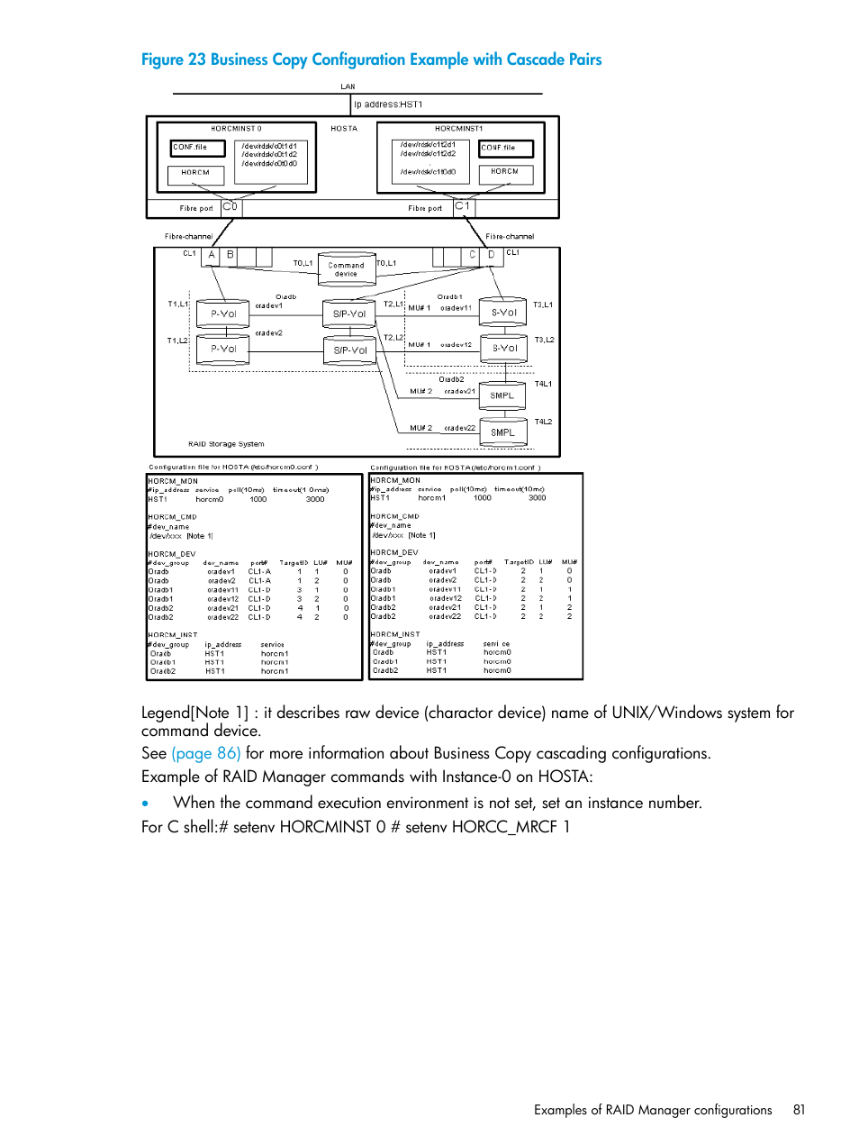 HP XP RAID Manager Software User Manual | Page 81 / 95