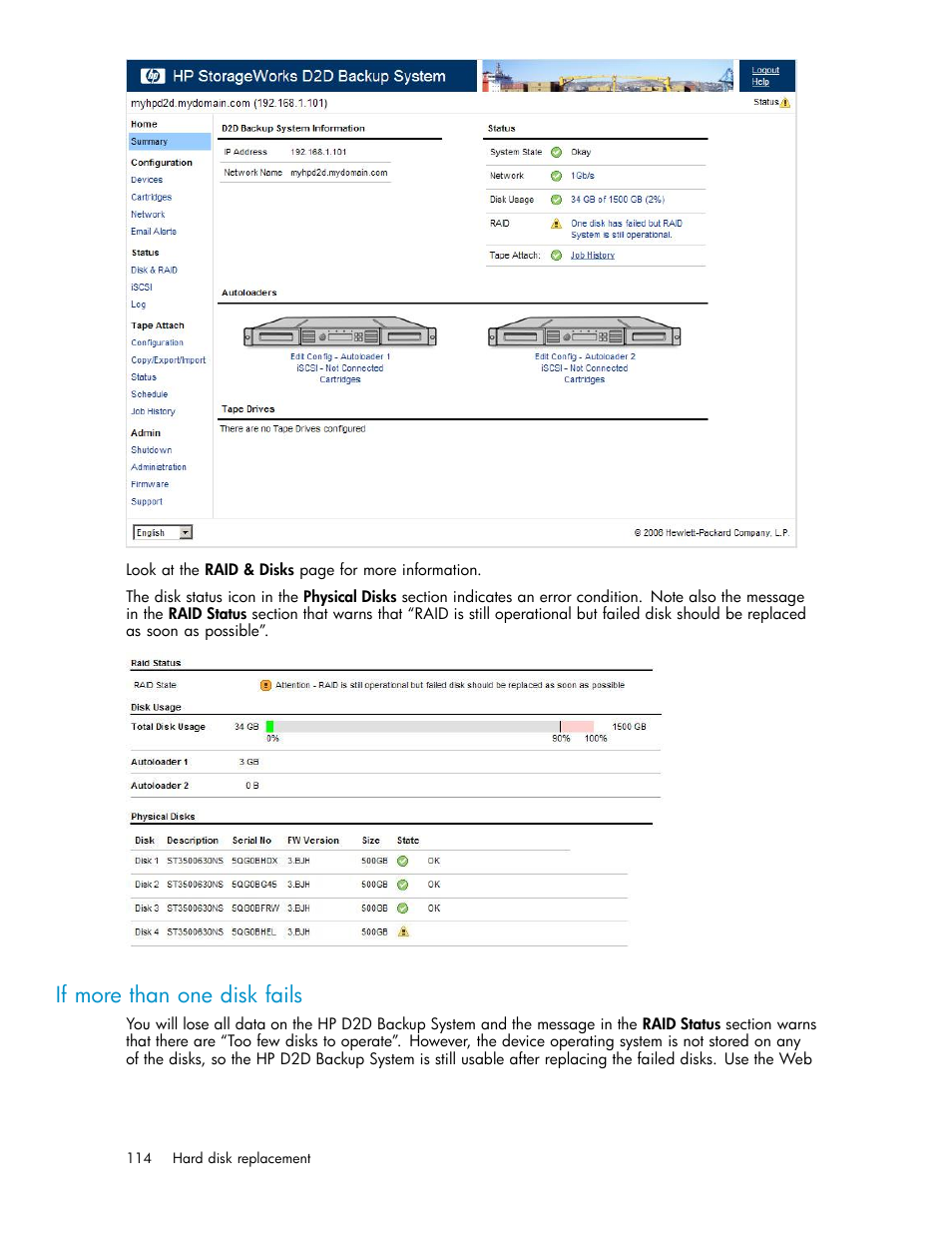 If more than one disk fails | HP D2D100 Backup System User Manual | Page 114 / 126