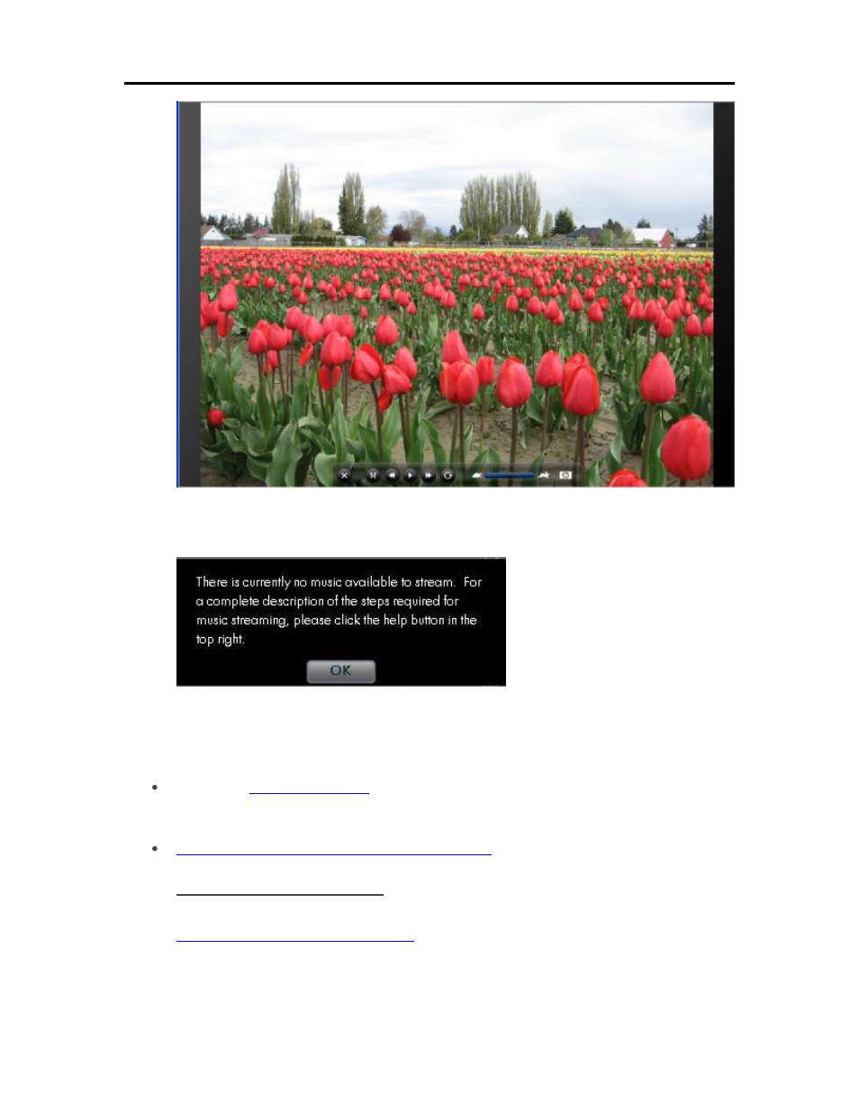 No music to stream | HP EX490 MediaSmart Server User Manual | Page 159 / 331