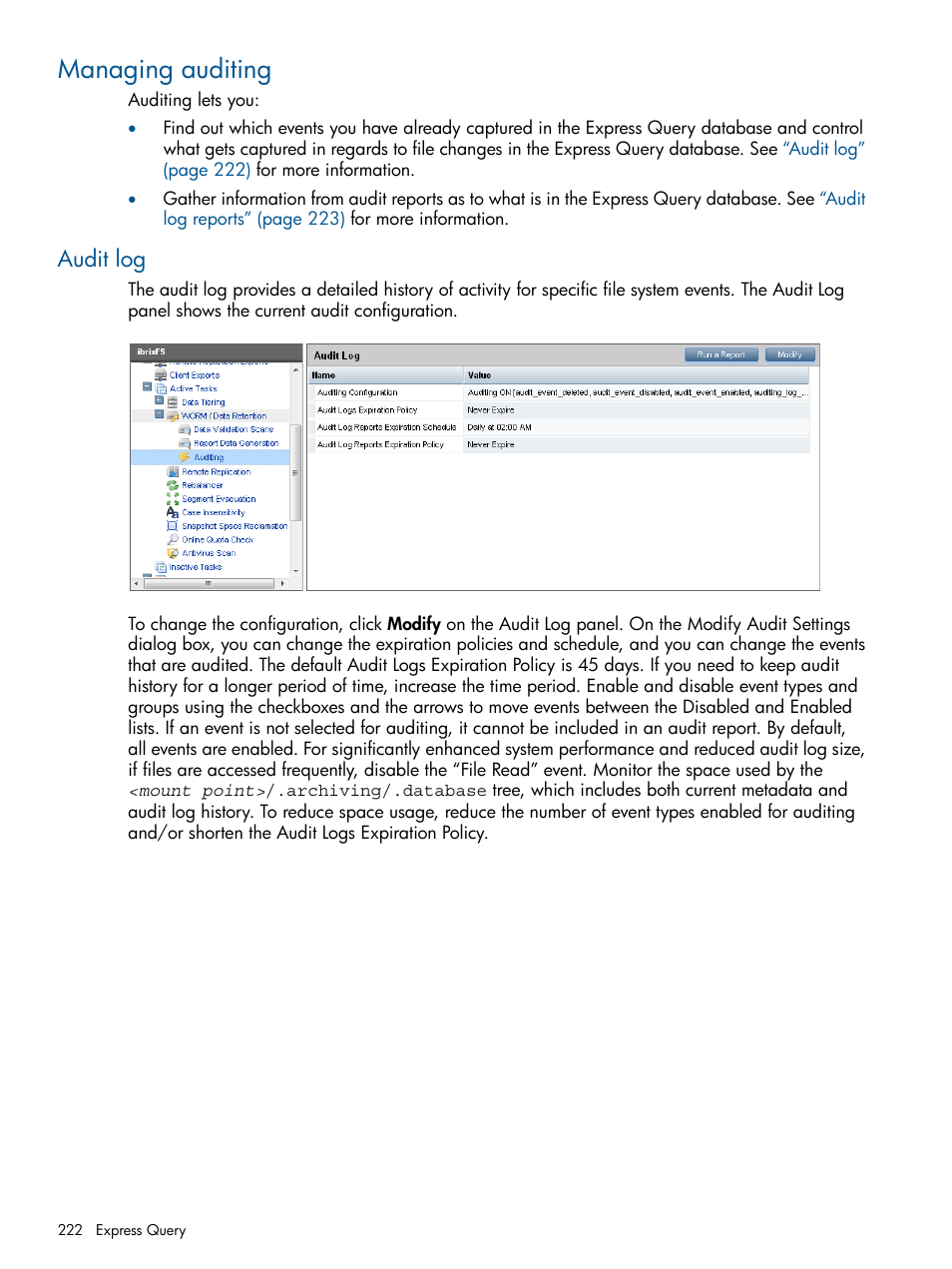 Managing auditing, Audit log | HP StoreAll Storage User Manual | Page 222 / 294