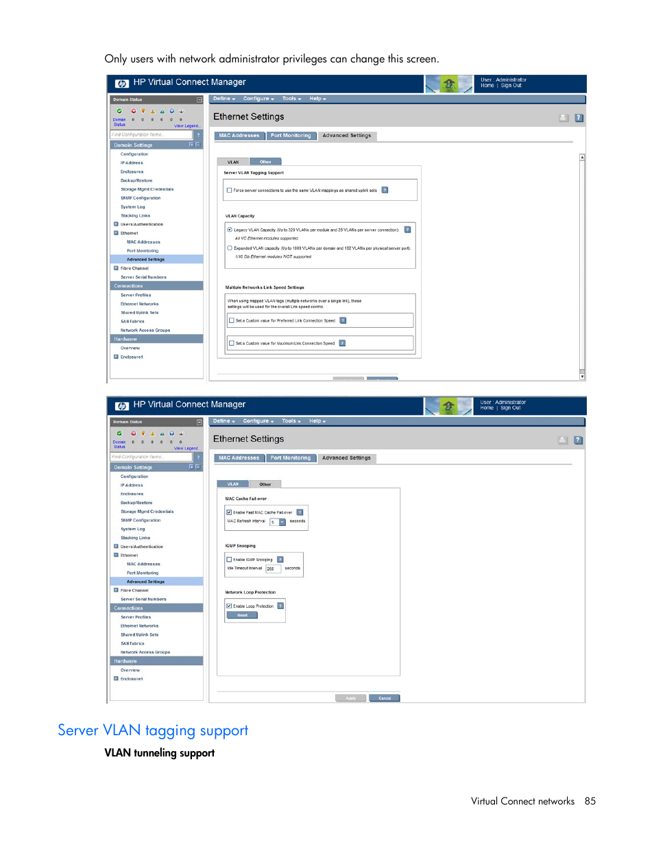 Server vlan tagging support | HP 1.10GB Virtual Connect Ethernet Module for c-Class BladeSystem User Manual | Page 85 / 230