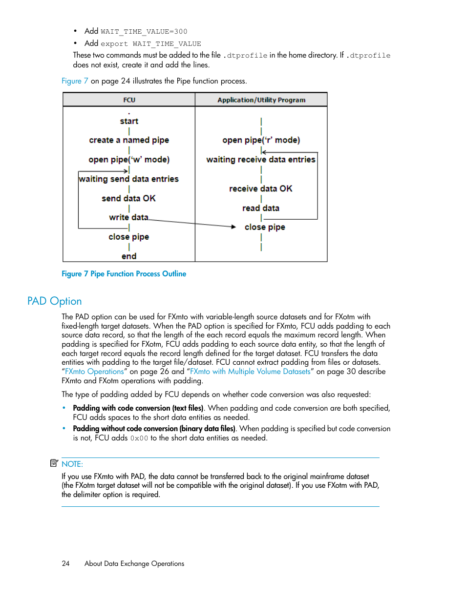 Pad option, Pipe function process outline | HP XP P9500 Storage User Manual | Page 24 / 182