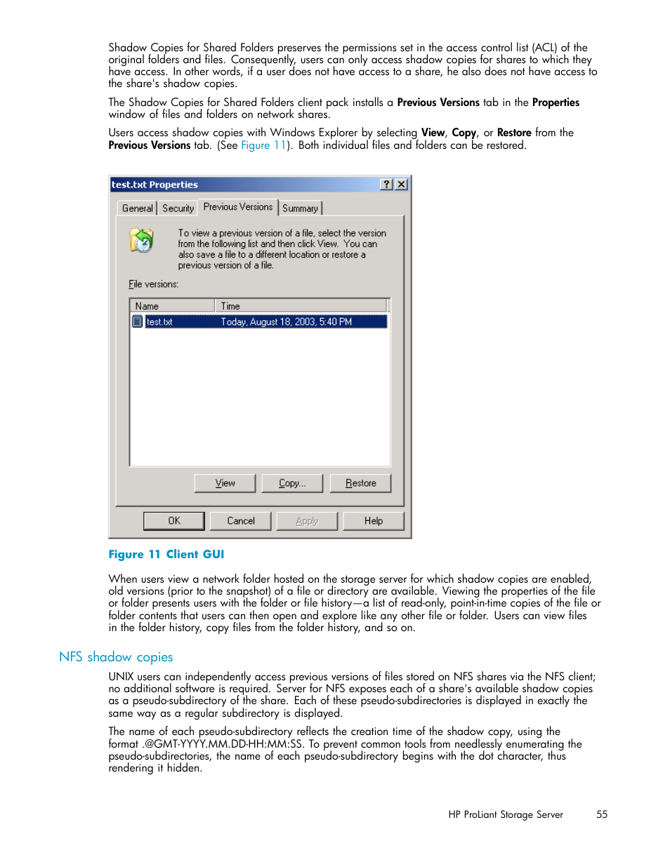 Nfs shadow copies, Client gui | HP ProLiant DL380 G5-Storage-Server User Manual | Page 55 / 156