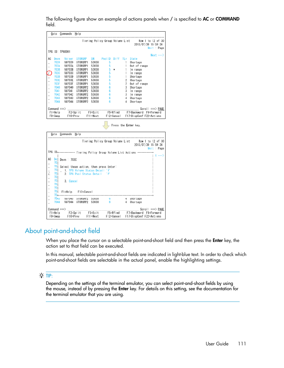 About point-and-shoot field | HP XP Command View Advanced Edition Software User Manual | Page 111 / 310