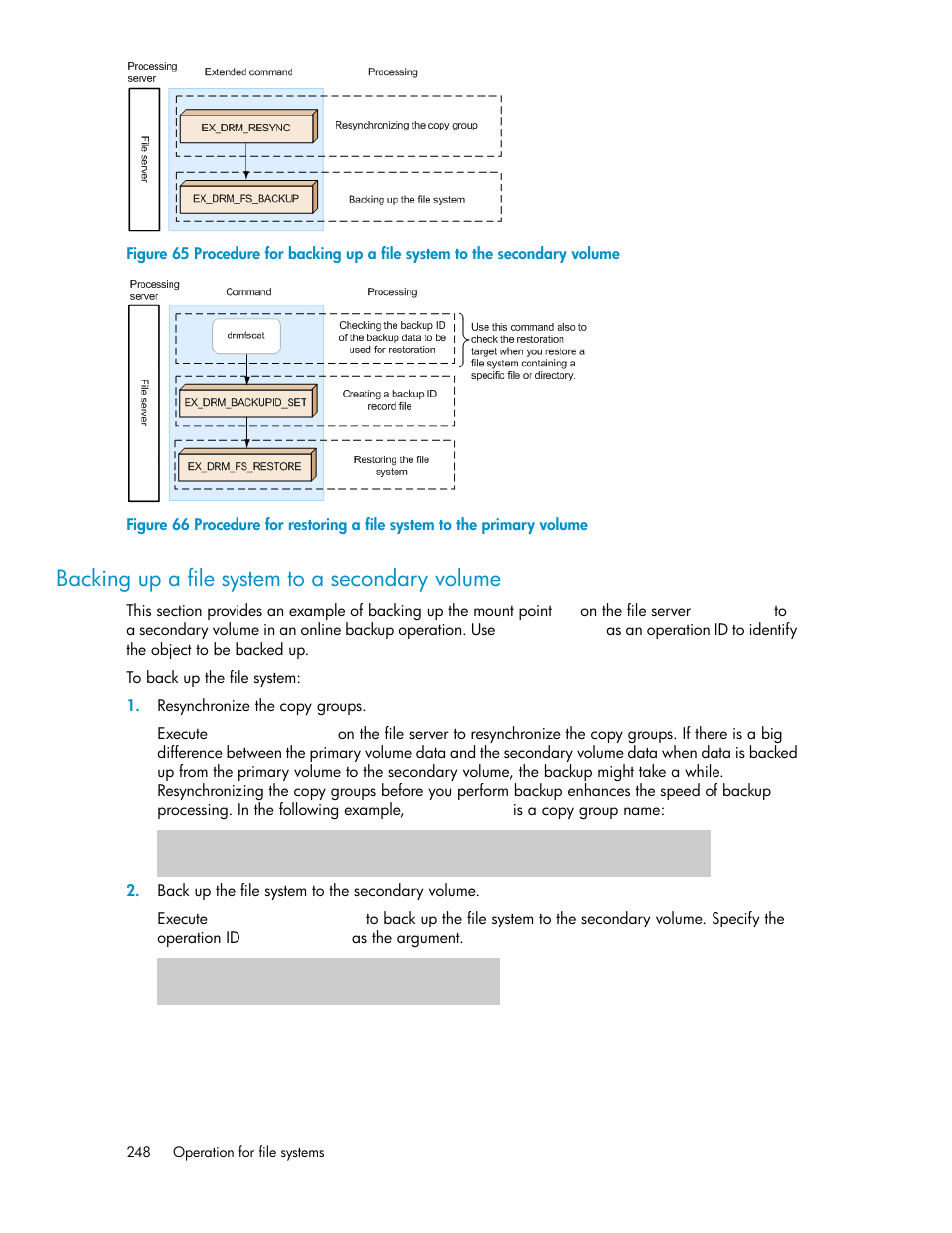 Backing up a file system to a secondary volume | HP XP Array Manager Software User Manual | Page 248 / 564