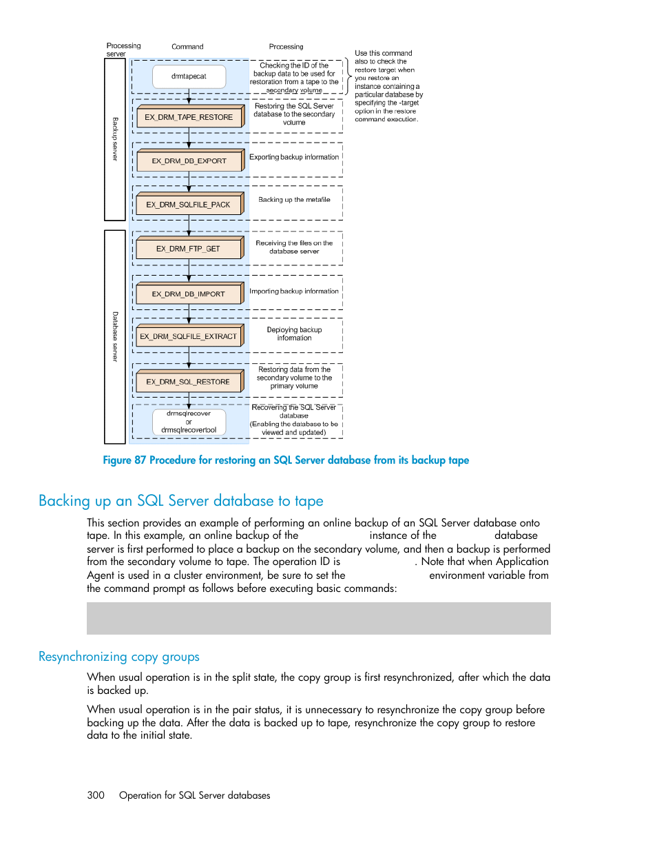 Backing up an sql server database to tape, Resynchronizing copy groups | HP XP Array Manager Software User Manual | Page 300 / 564