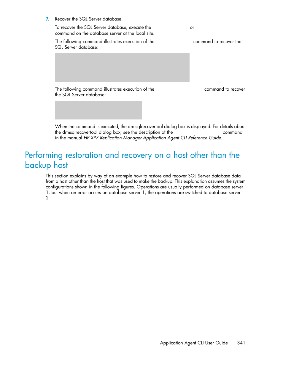 HP XP Array Manager Software User Manual | Page 341 / 564