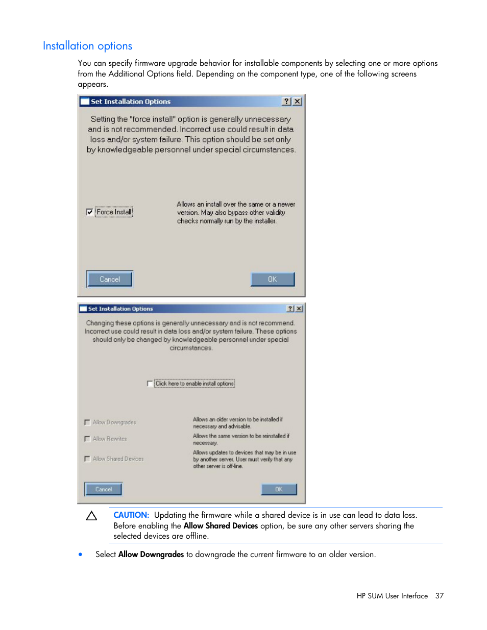 Installation options | HP ProLiant Support Pack User Manual | Page 37 / 109