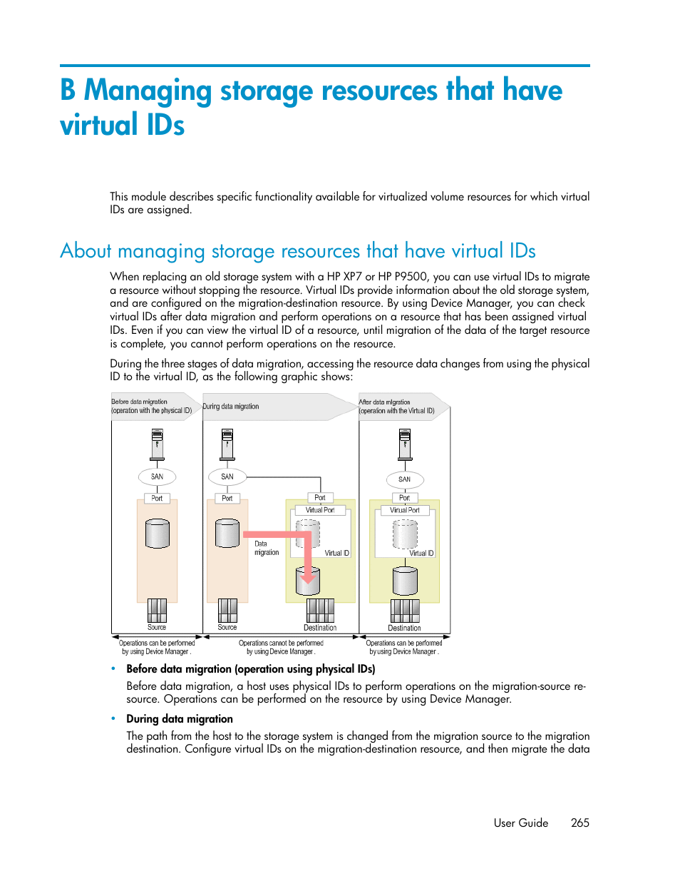 B managing storage resources that have virtual ids | HP XP Array Manager Software User Manual | Page 265 / 282