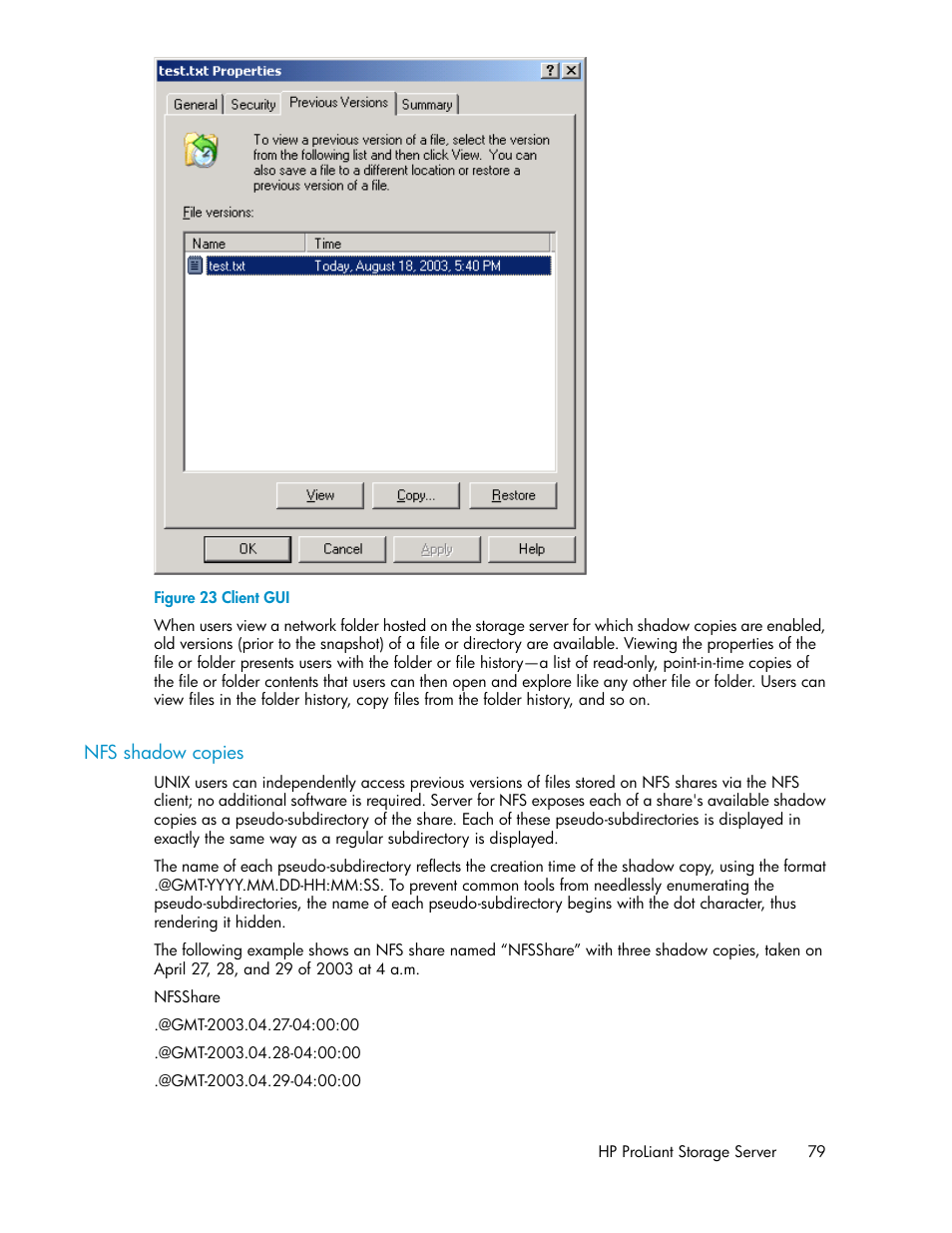 Nfs shadow copies, Client gui | HP ProLiant DL160 G5 Storage-Server User Manual | Page 79 / 174