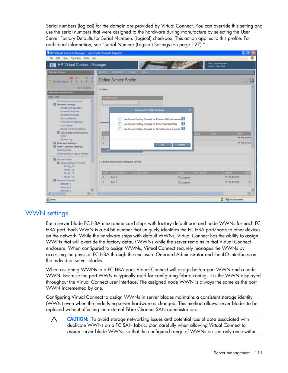 Wwn settings, Defining a server profile | HP Virtual Connect Flex-10 10Gb Ethernet Module for c-Class BladeSystem User Manual | Page 111 / 169