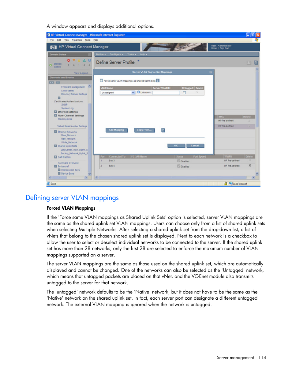 Defining server vlan mappings | HP Virtual Connect Flex-10 10Gb Ethernet Module for c-Class BladeSystem User Manual | Page 114 / 169