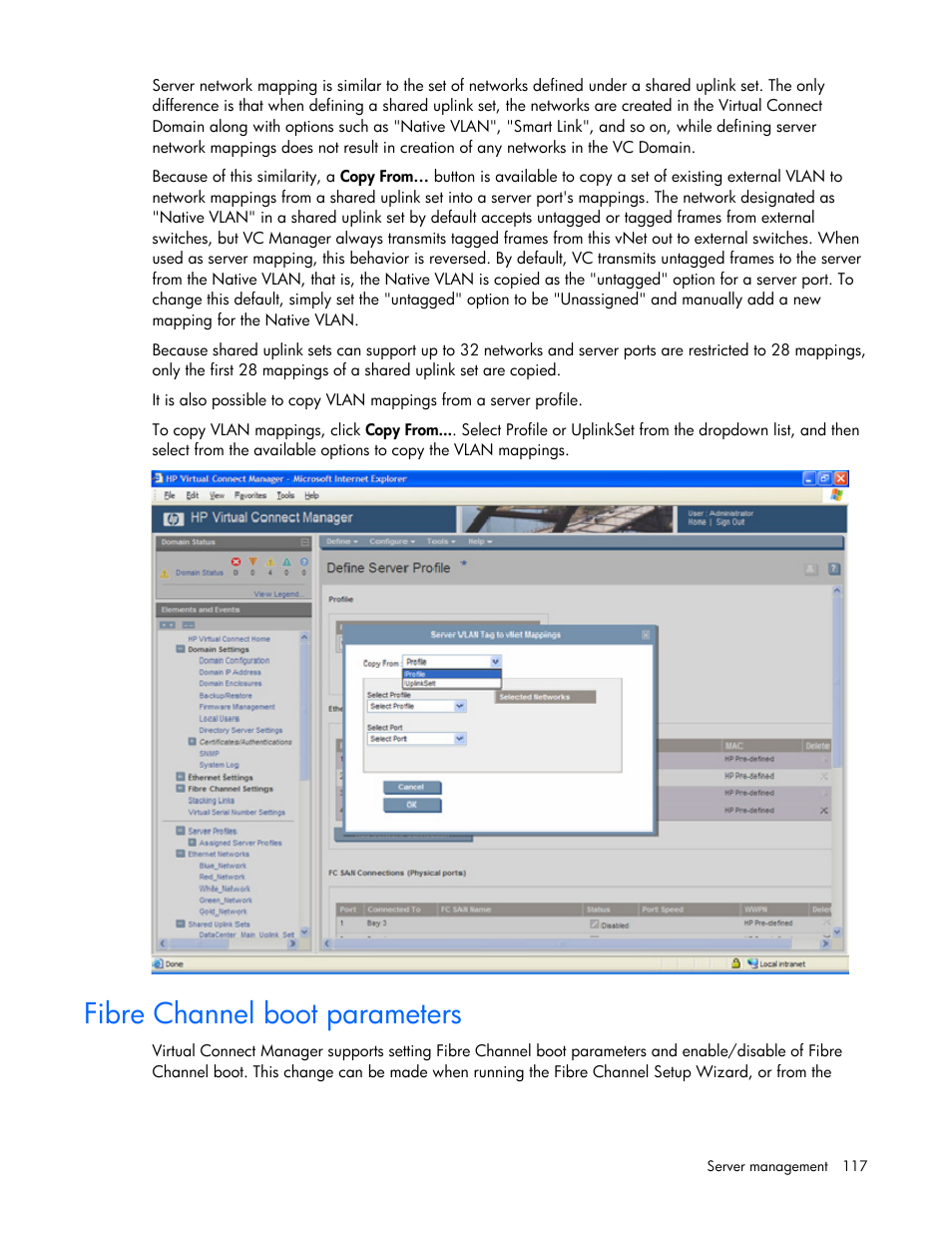 Fibre channel boot parameters | HP Virtual Connect Flex-10 10Gb Ethernet Module for c-Class BladeSystem User Manual | Page 117 / 169