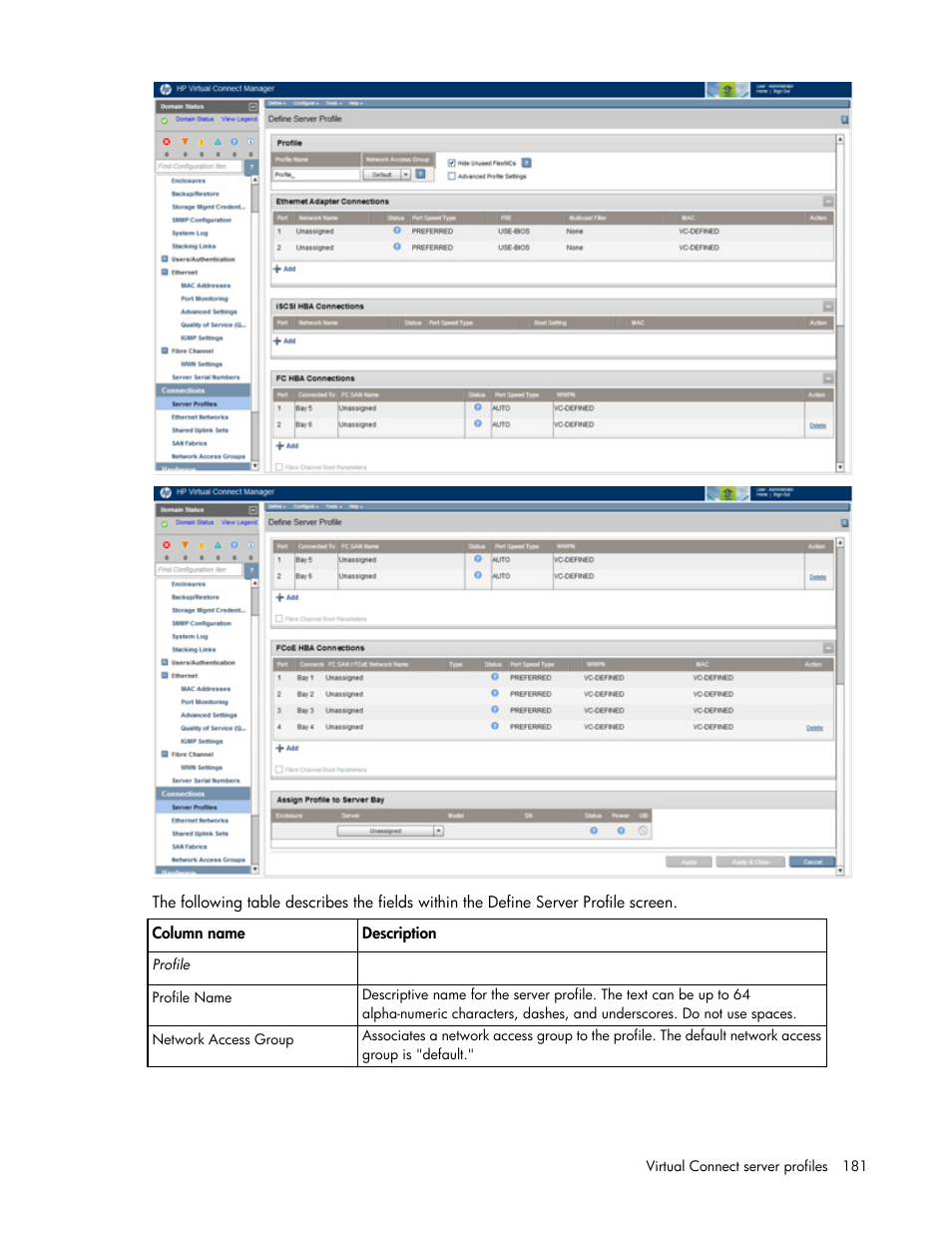 HP Virtual Connect 8Gb 20-port Fibre Channel Module for c-Class BladeSystem User Manual | Page 181 / 317