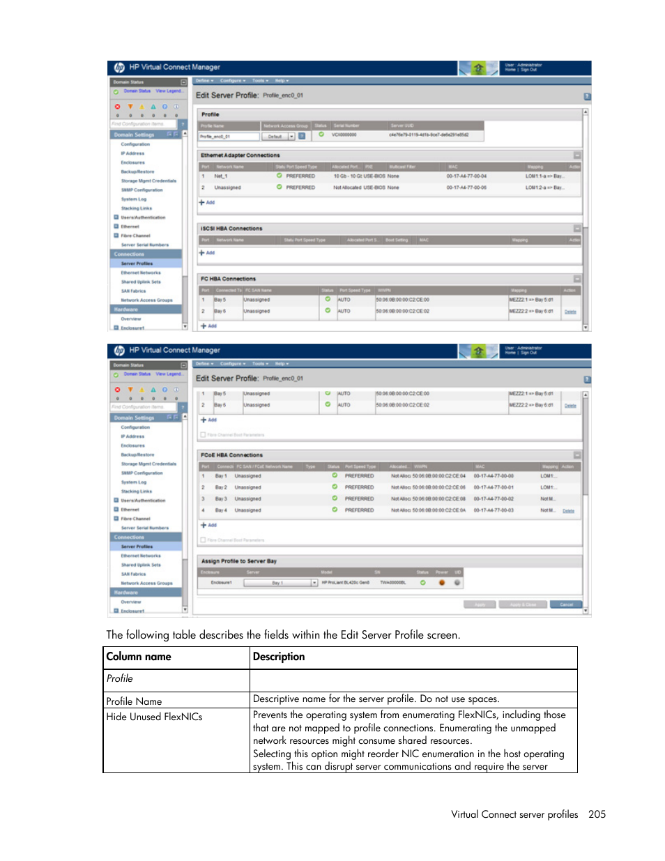 HP Virtual Connect 8Gb 20-port Fibre Channel Module for c-Class BladeSystem User Manual | Page 205 / 317