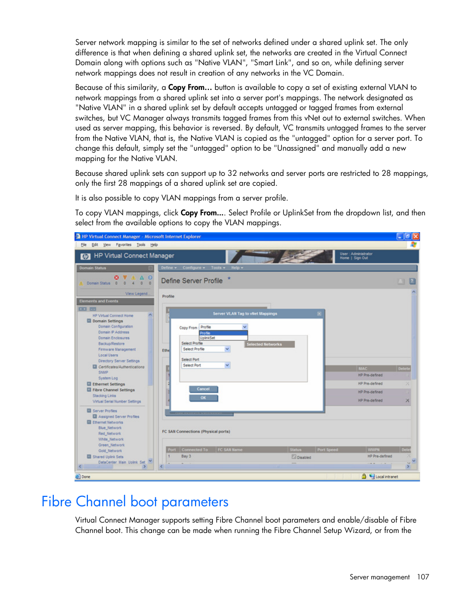 Fibre channel boot parameters | HP 1.10GB Virtual Connect Ethernet Module for c-Class BladeSystem User Manual | Page 107 / 162