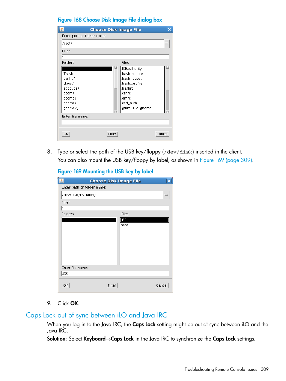 Caps lock out of sync between ilo and java irc | HP Integrated Lights-Out 4 User Manual | Page 309 / 356