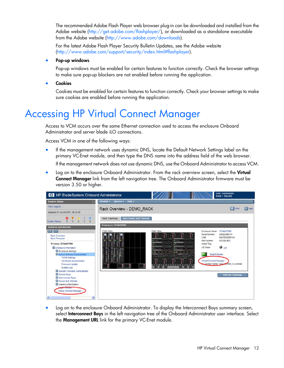Accessing hp virtual connect manager | HP Virtual Connect 8Gb 24-port Fibre Channel Module for c-Class BladeSystem User Manual | Page 12 / 262