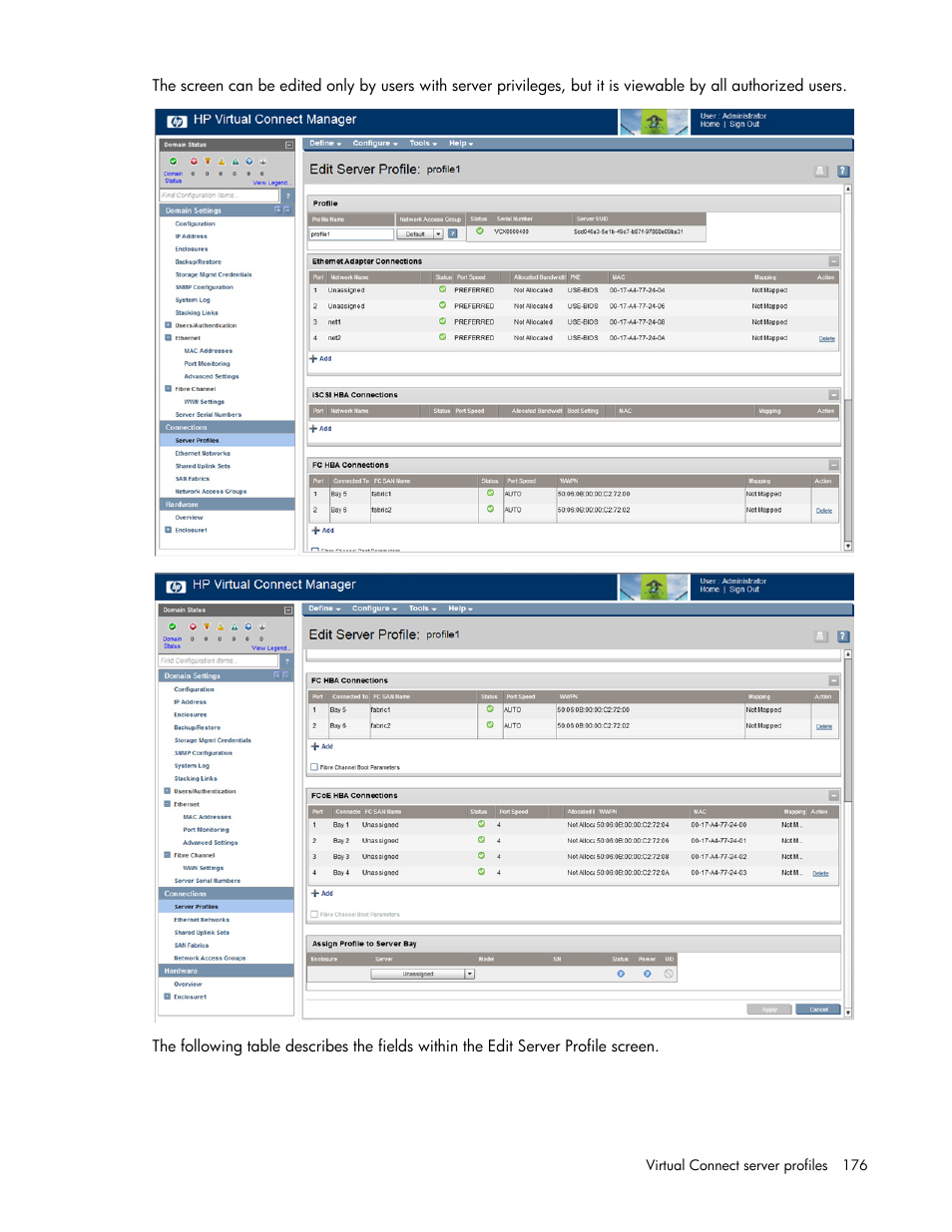 HP Virtual Connect 8Gb 24-port Fibre Channel Module for c-Class BladeSystem User Manual | Page 176 / 262