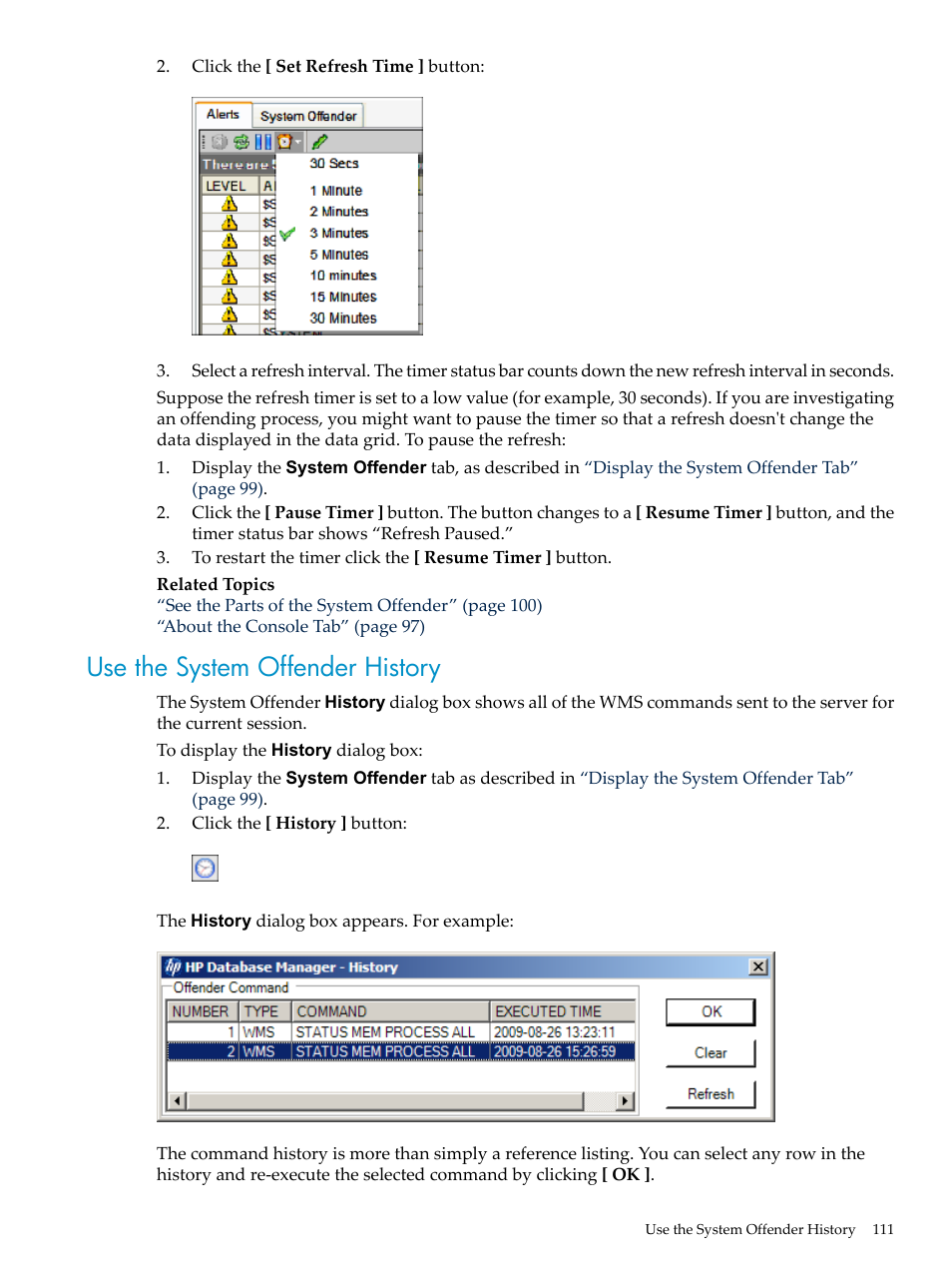 Use the system offender history | HP Neoview Release 2.4 Software User Manual | Page 111 / 160