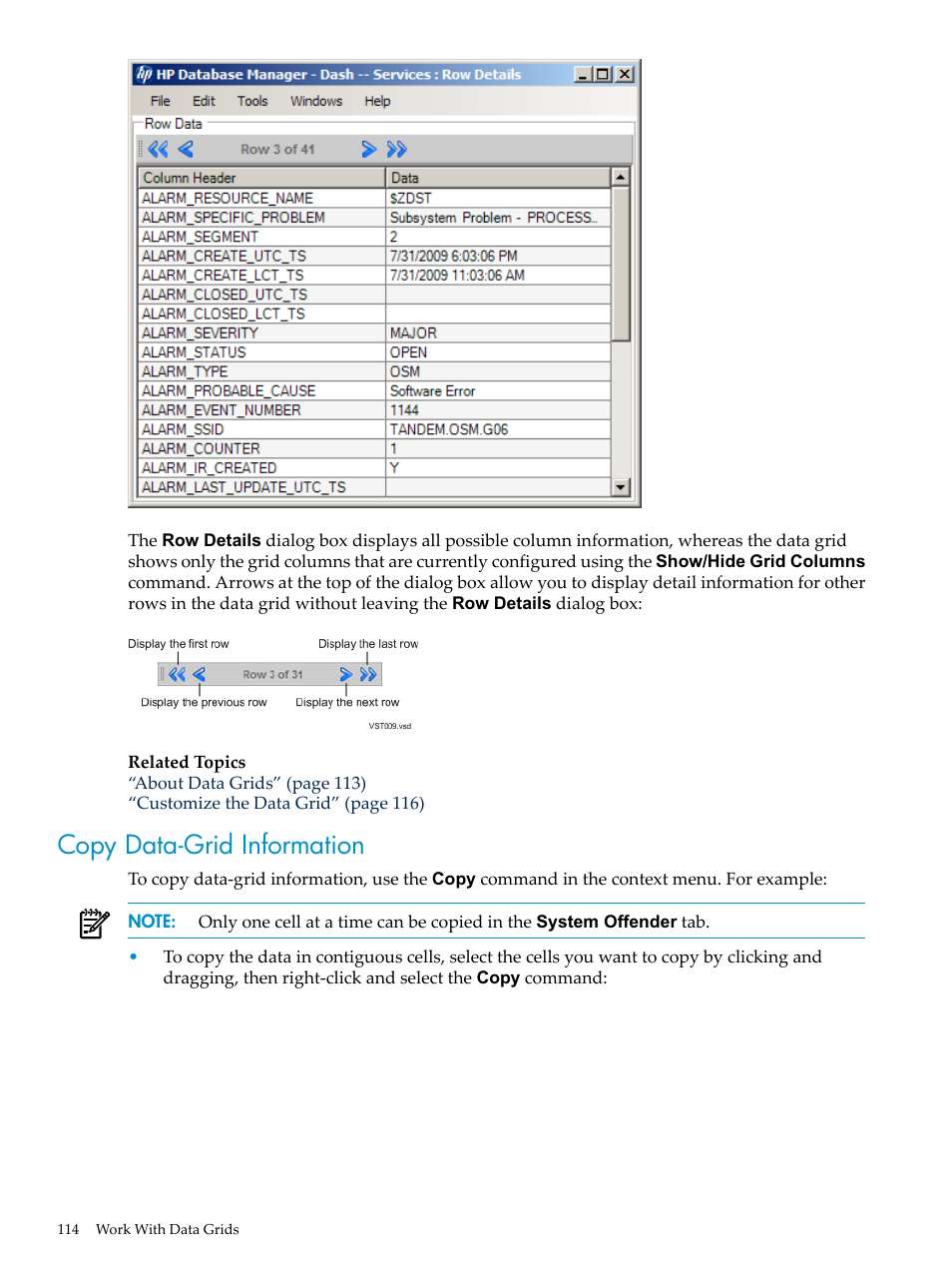 Copy data-grid information | HP Neoview Release 2.4 Software User Manual | Page 114 / 160