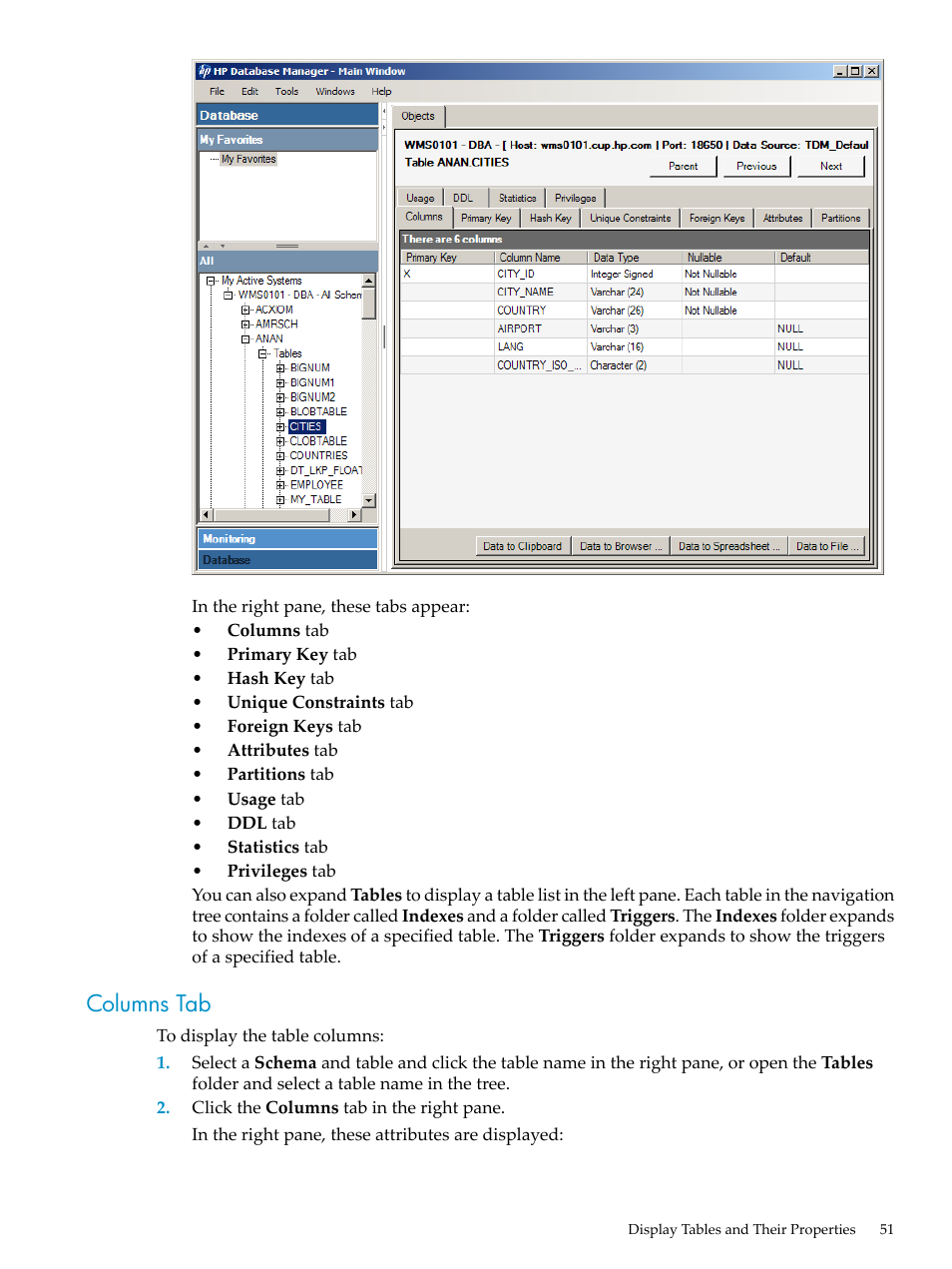 Columns tab | HP Neoview Release 2.4 Software User Manual | Page 51 / 160