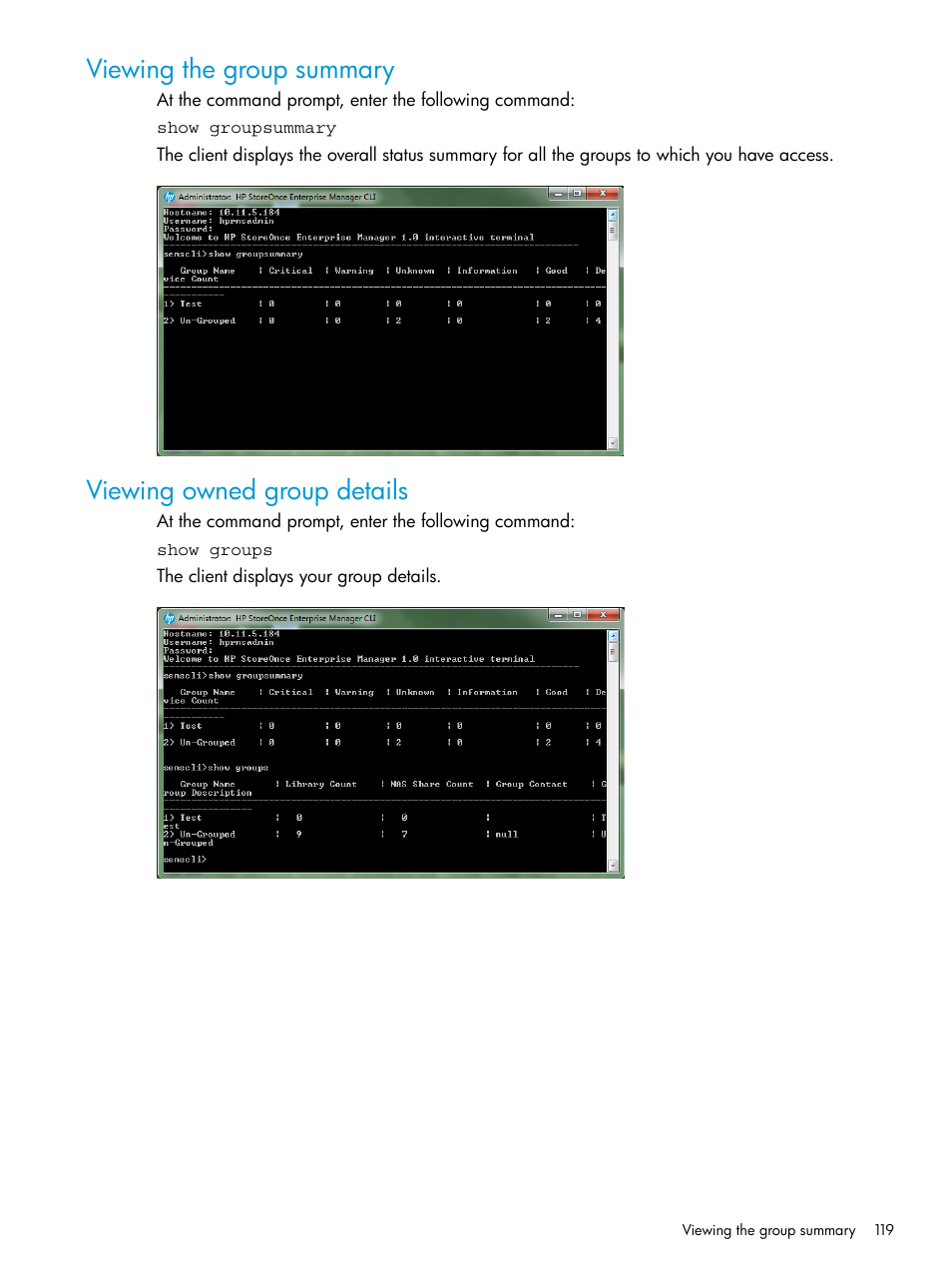 Viewing the group summary, Viewing owned group details | HP StorageWorks Data Replication Manager Software User Manual | Page 119 / 144