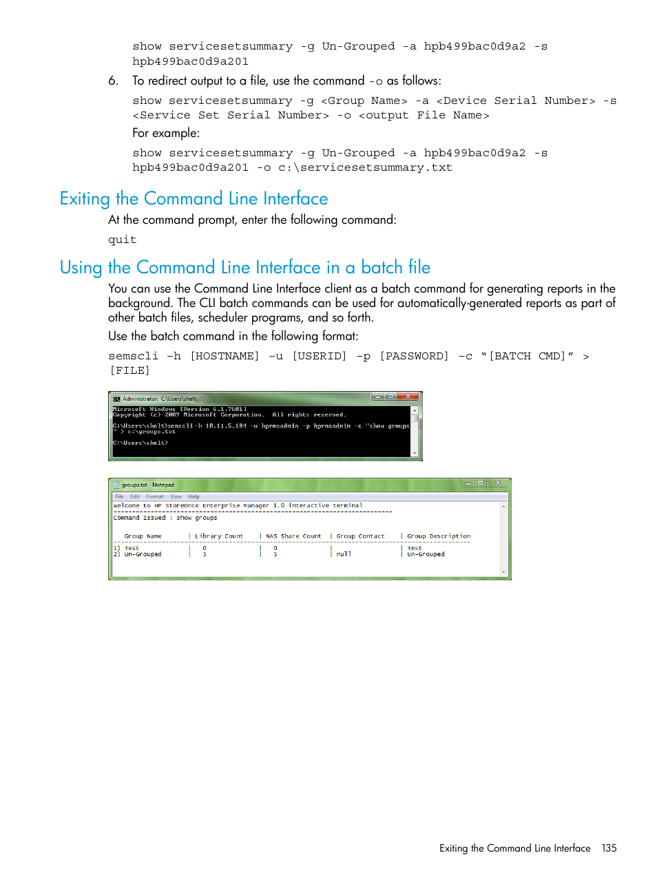 Exiting the command line interface, Using the command line interface in a batch file | HP StorageWorks Data Replication Manager Software User Manual | Page 135 / 144