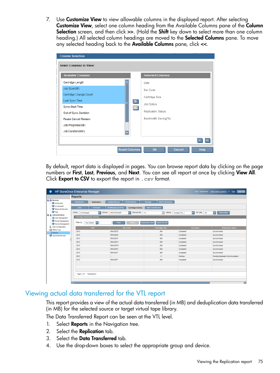 Viewing actual data transferred for the vtl report | HP StorageWorks Data Replication Manager Software User Manual | Page 75 / 144