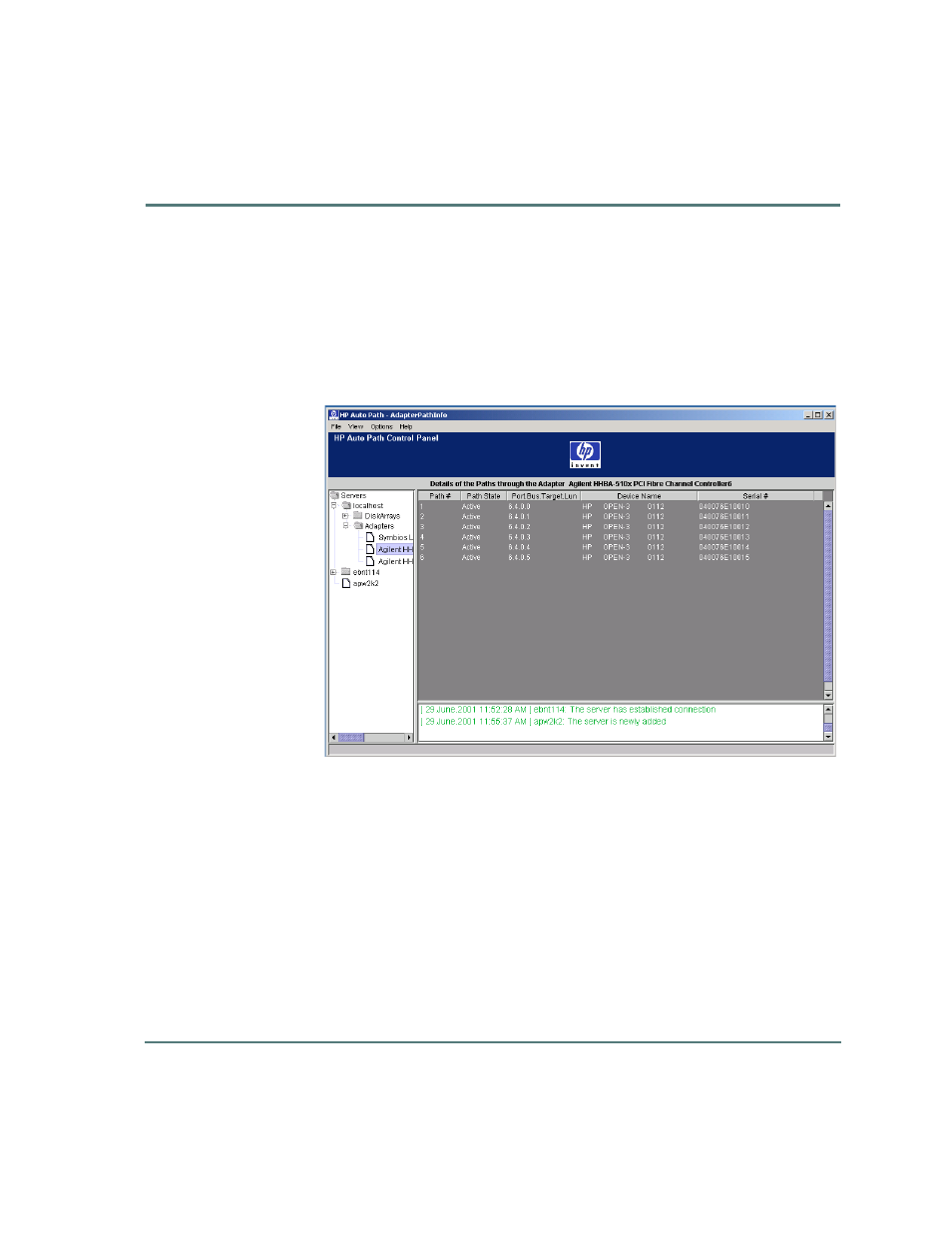 Adapterpathinfo window | HP StorageWorks Auto Path VA Software User Manual | Page 55 / 70