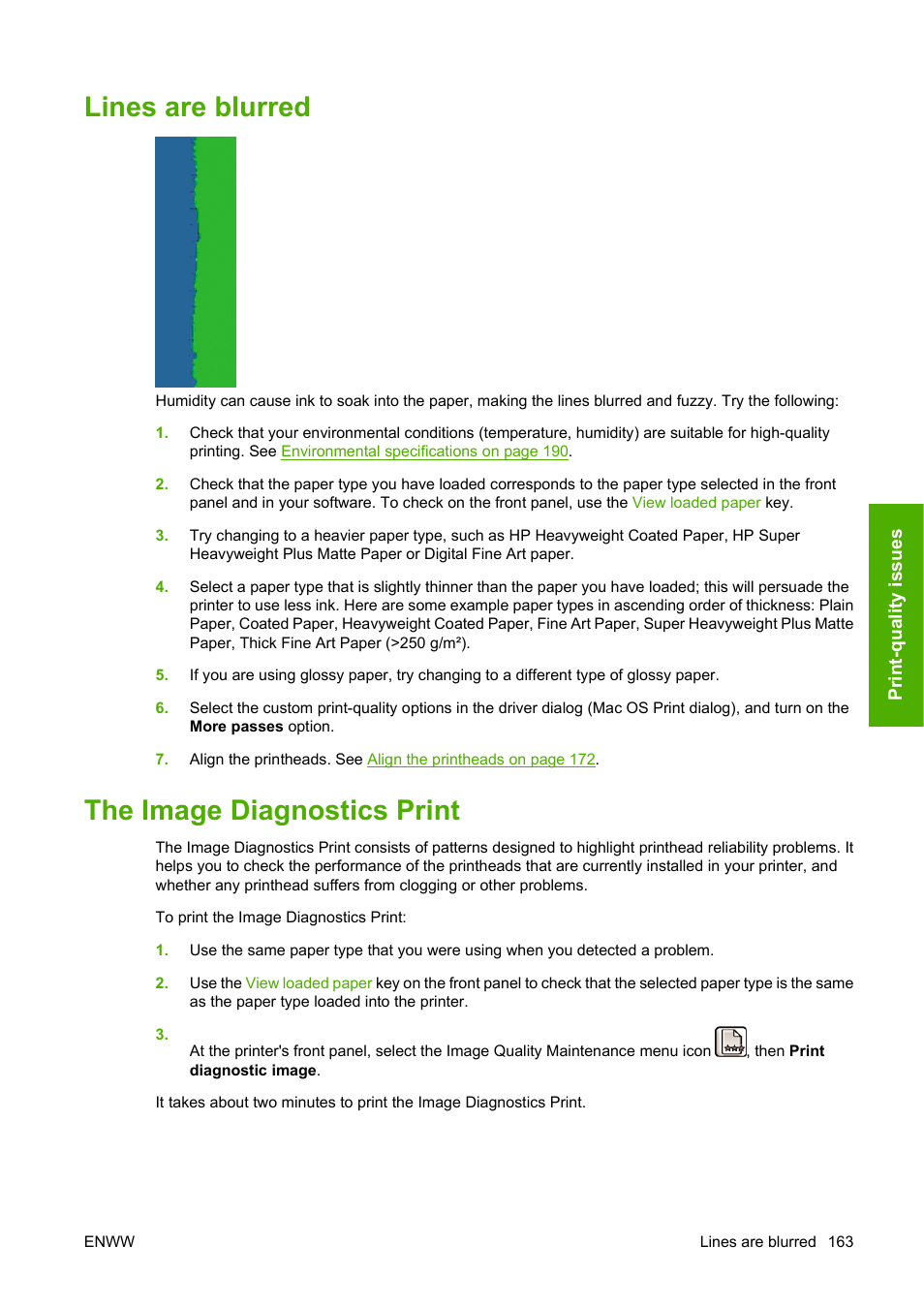 Lines are blurred, The image diagnostics print, Lines are blurred the image diagnostics print | The image diagnostics | HP Designjet Z3200 PostScript Photo Printer series User Manual | Page 173 / 205