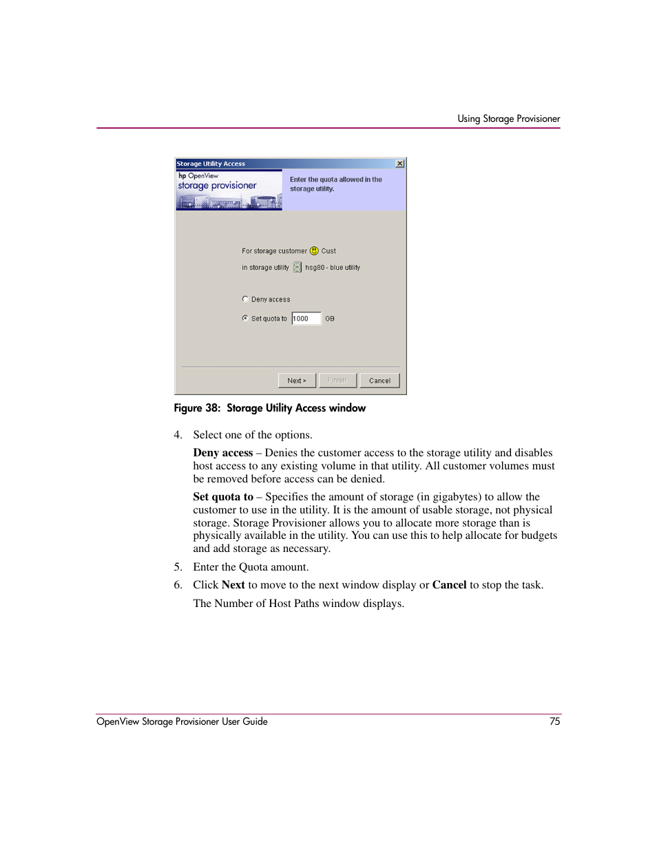 38 storage utility access window | HP OpenView Storage Provisioner Software License User Manual | Page 77 / 172