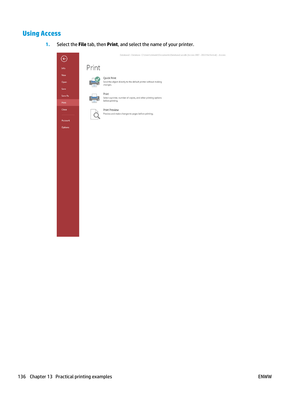Using access | HP Designjet T3500 Production eMFP User Manual | Page 146 / 278