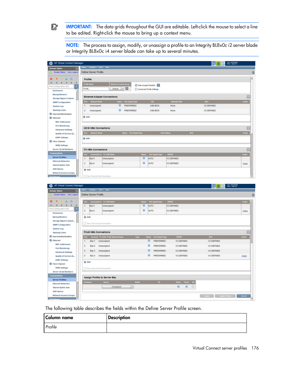 HP Virtual Connect 4Gb Fibre Channel Module for c-Class BladeSystem User Manual | Page 176 / 308