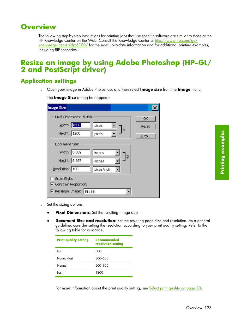 Overview, Application settings | HP Designjet Z6100 Printer series User Manual | Page 135 / 232