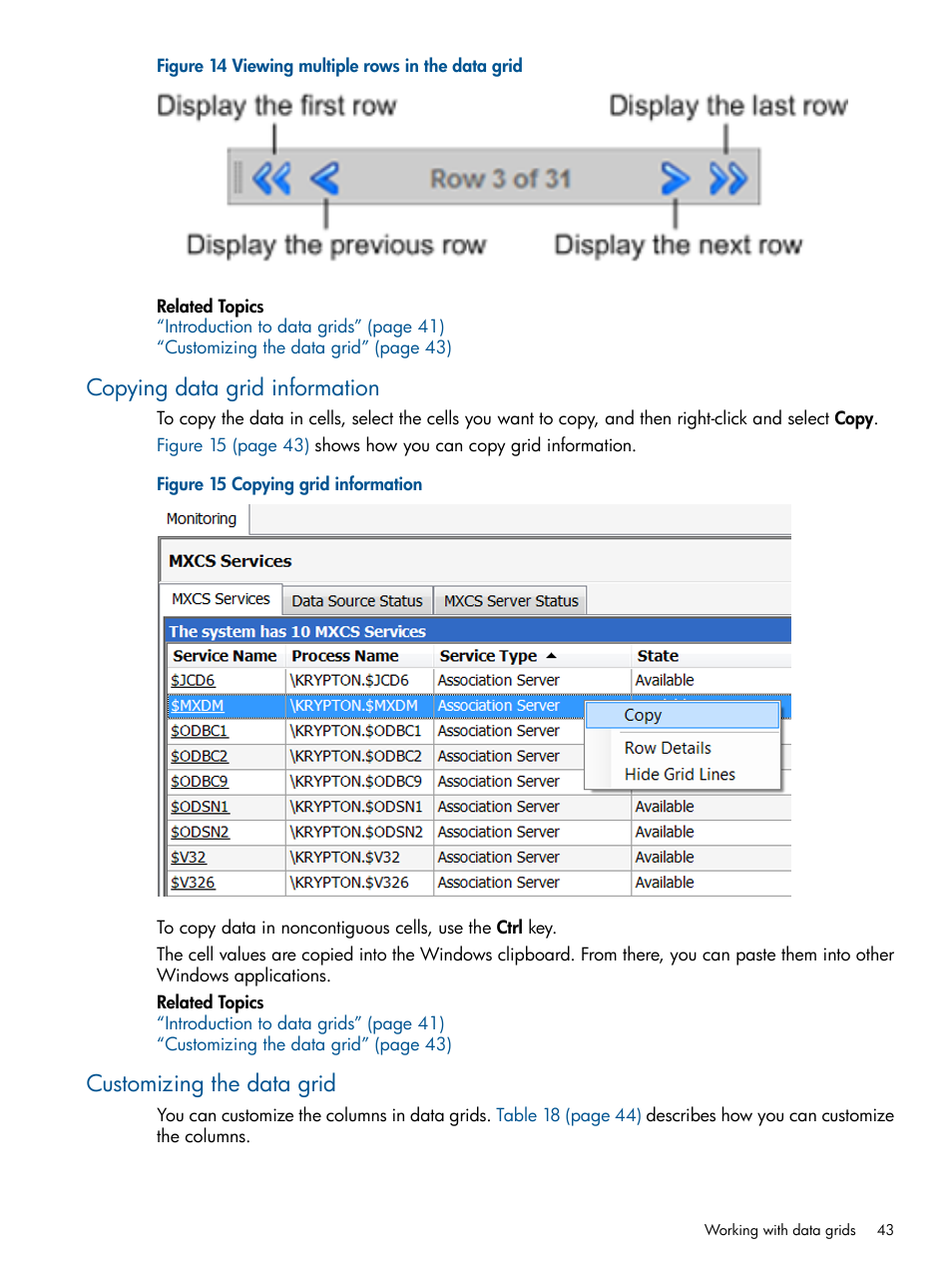 Copying data grid information, Customizing the data grid | HP Integrity NonStop J-Series User Manual | Page 43 / 113