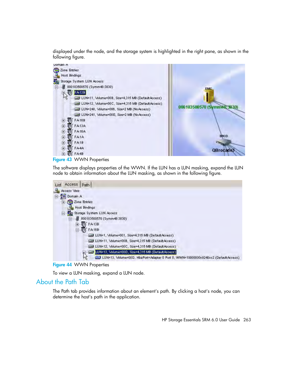 About the path tab, 43 wwn properties, 44 wwn properties | HP Storage Essentials Enterprise Edition Software User Manual | Page 301 / 798
