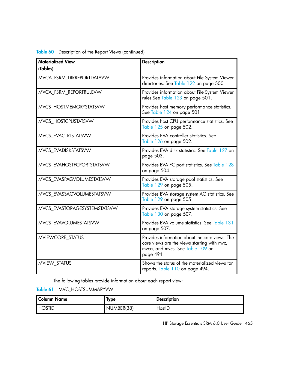 61 mvc_hostsummaryvw, Table 61 | HP Storage Essentials Enterprise Edition Software User Manual | Page 503 / 798