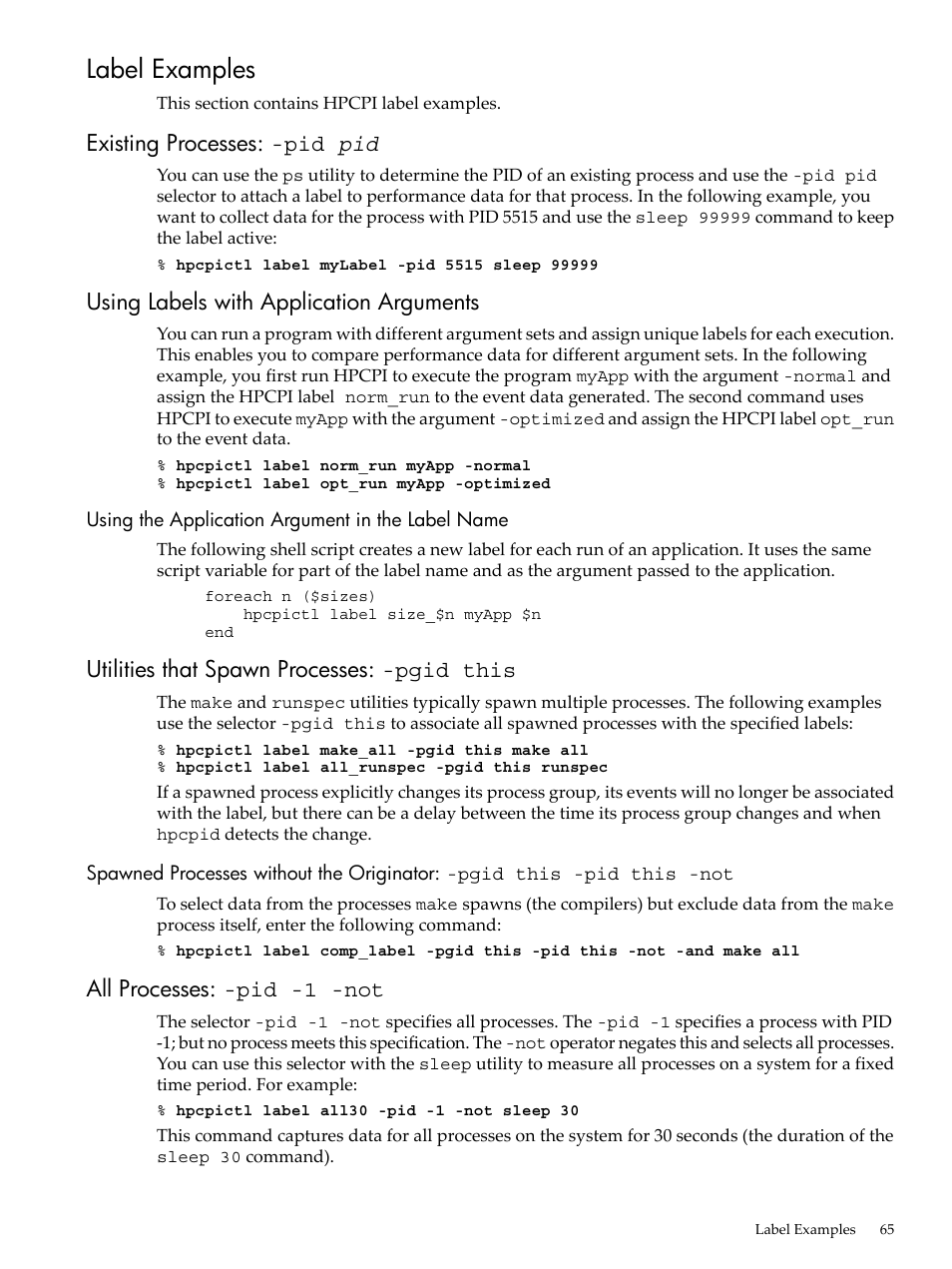 Label examples, Existing processes: -pid pid, Using labels with application arguments | Using the application argument in the label name, Utilities that spawn processes: -pgid this, All processes: -pid -1 -not | HP XC System 3.x Software User Manual | Page 65 / 131