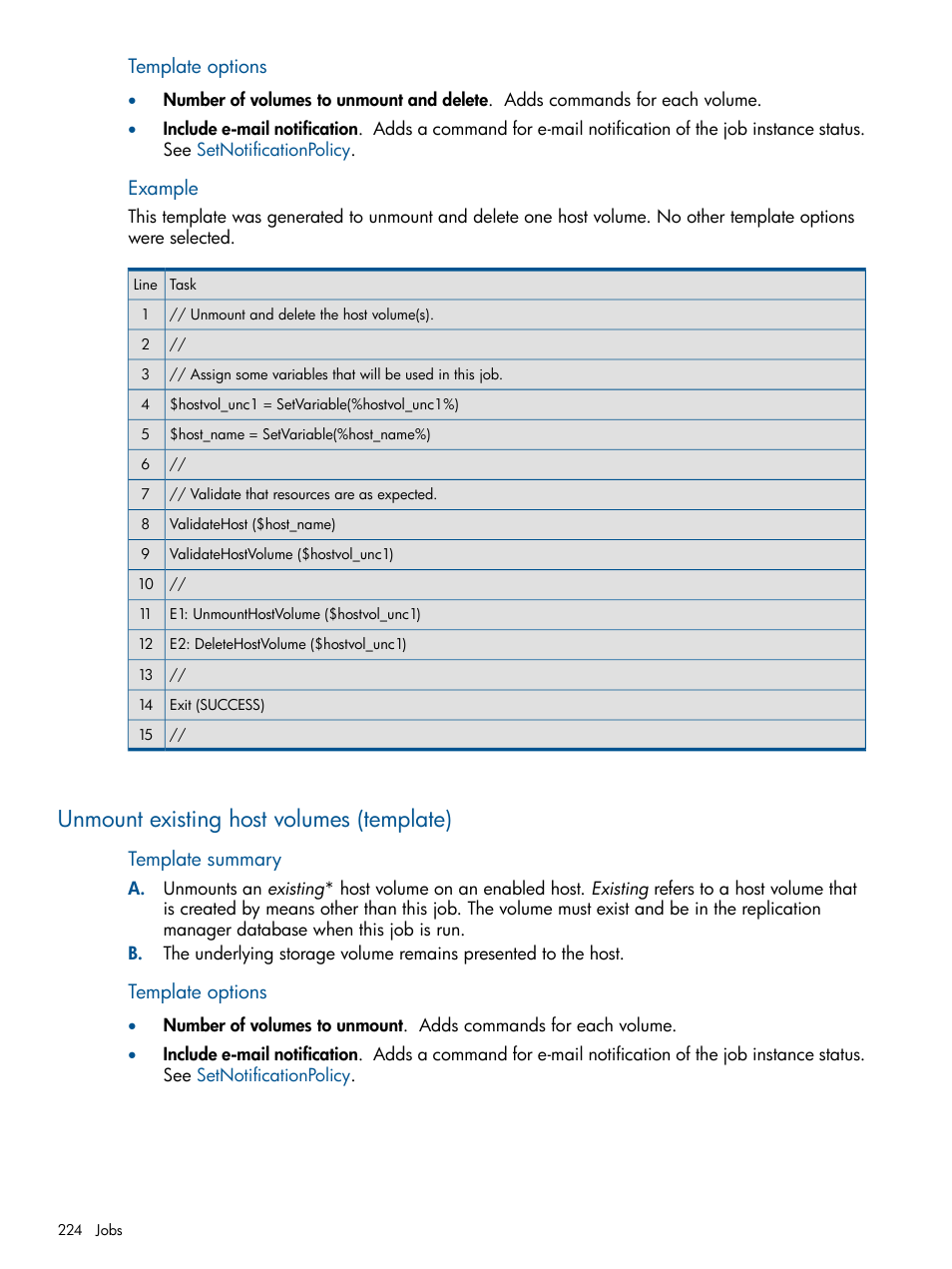 Unmount existing host volumes (template), Unmount existing host volumes, Template options | Example, Template summary | HP P6000 Continuous Access Software User Manual | Page 224 / 296