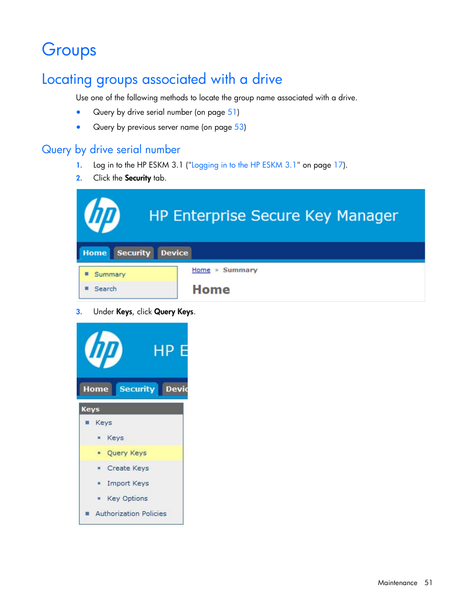 Groups, Locating groups associated with a drive, Query by drive serial number | HP Secure Encryption User Manual | Page 51 / 76