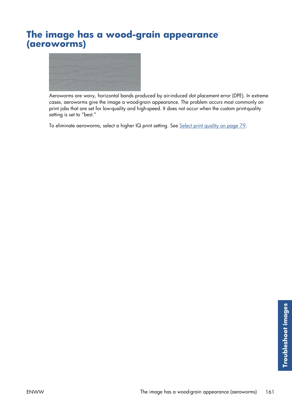 The image has a wood-grain appearance (aeroworms) | HP Designjet T7100 Printer series User Manual | Page 169 / 217